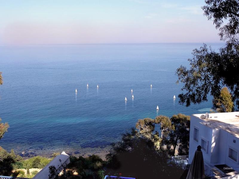 La Villa Bleue - Genel