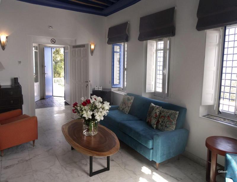 La Villa Bleue - Oda