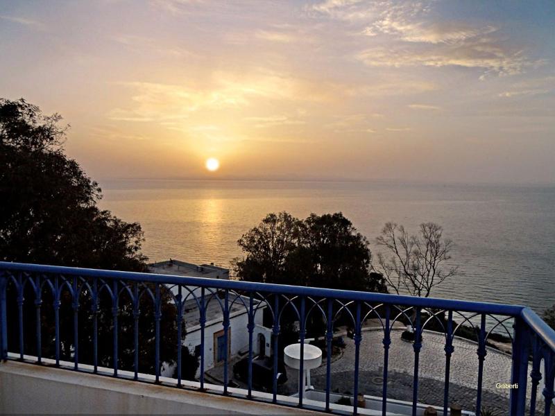 La Villa Bleue - Teras