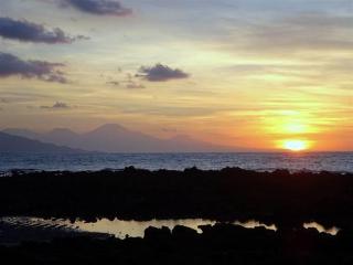 Villa Mayo Bali fotoÄŸrafÄ±