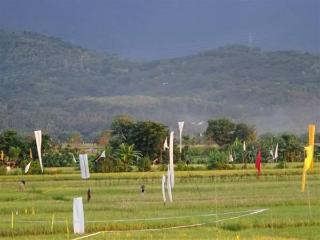 Villa Mayo Bali fotoÄŸrafÄ±