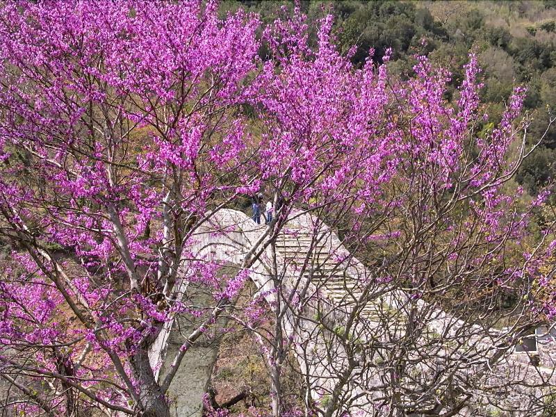 Anavasi Mountain Resort - Genel