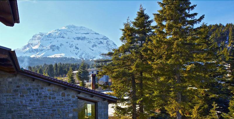Anavasi Mountain Resort - Oda