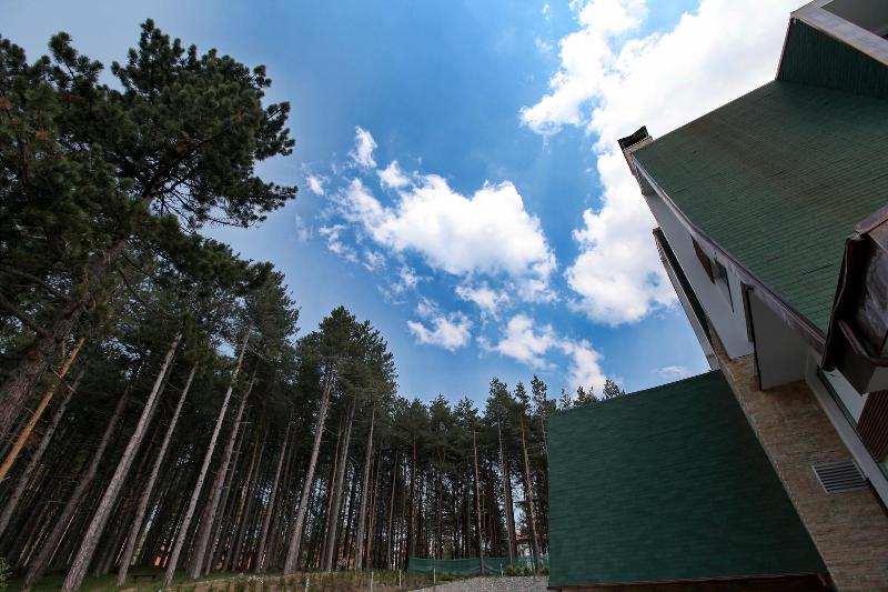 Mona Plaza Zlatibor - Genel