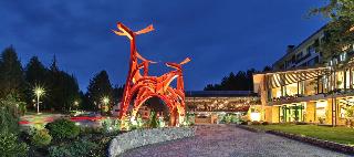 Mona Plaza Zlatibor fotoÄŸrafÄ±