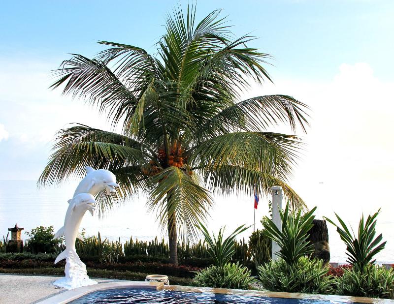Bondalem Beach Club - Havuz