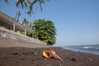 Bondalem Beach Club fotoÄŸrafÄ±