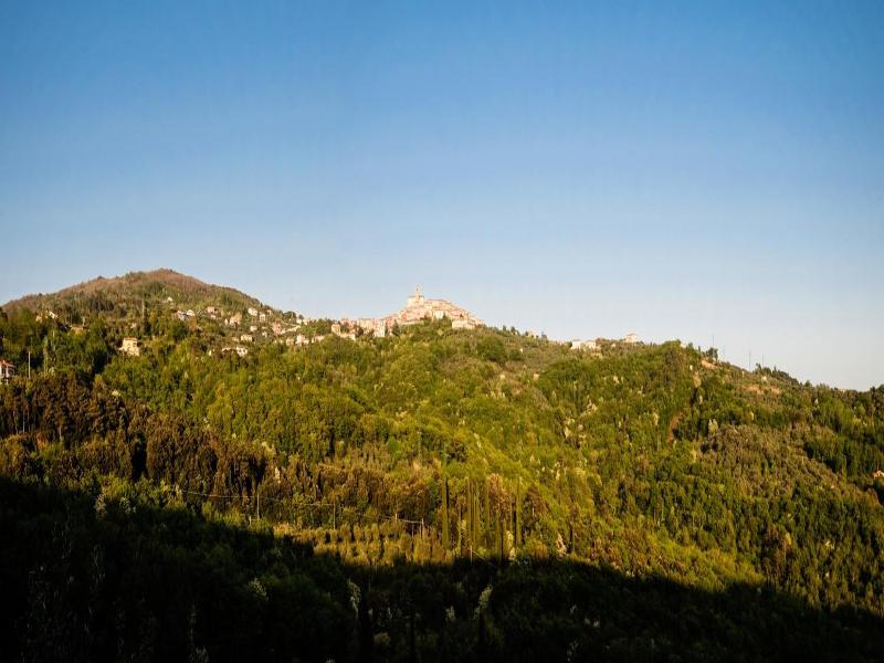 La Trigola - Genel