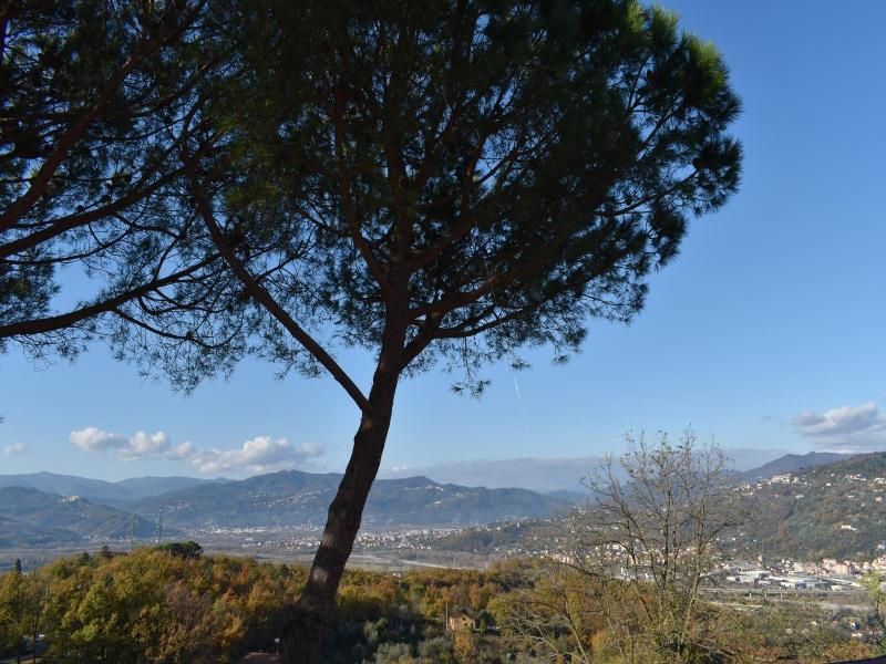 La Trigola - Genel