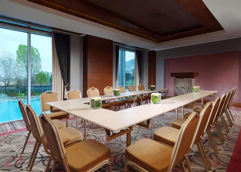 Sheraton Bursa Hotel - Toplantı