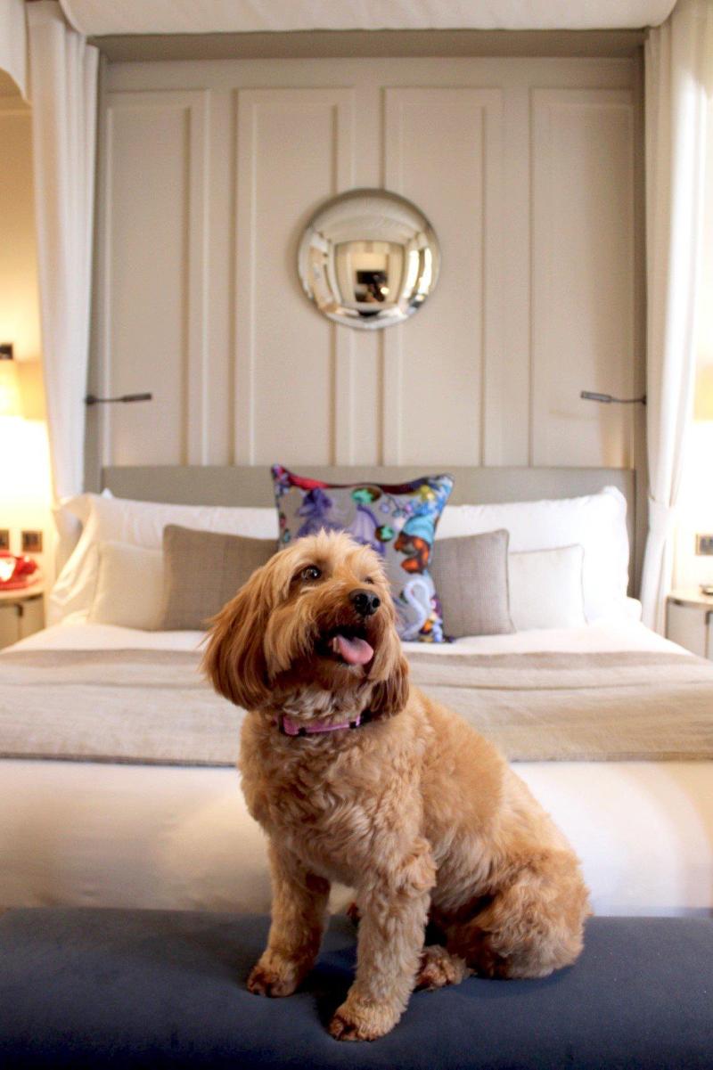 Kimpton London Fitzroy - Genel