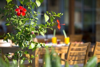 Cirali Hera Hotel fotoÄŸrafÄ±