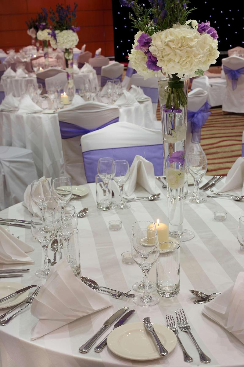 Park Plaza Victoria London - Toplantı