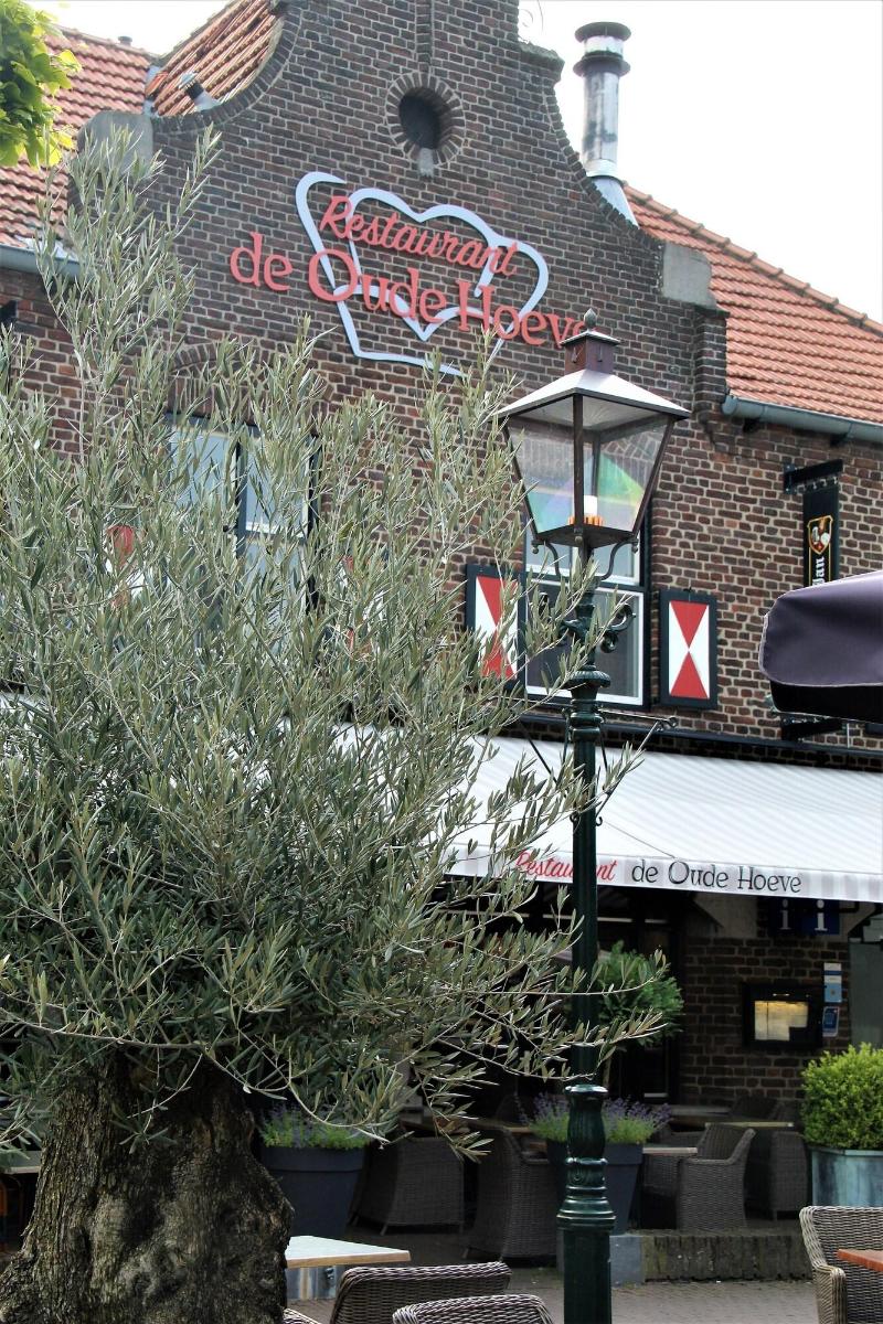Hotel Arcen - Genel