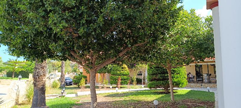 Elanthi Village Apartments - Genel