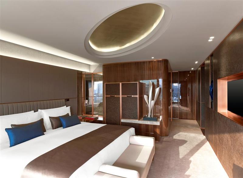 The St. Regis Istanbul - Genel