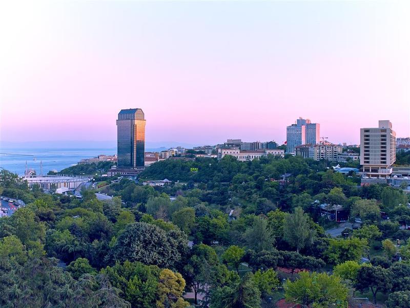 The St. Regis Istanbul - Genel