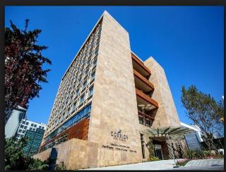 Gorrion Hotel otel fotoğrafı