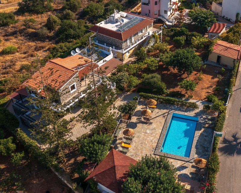 Villa Medusa - Genel