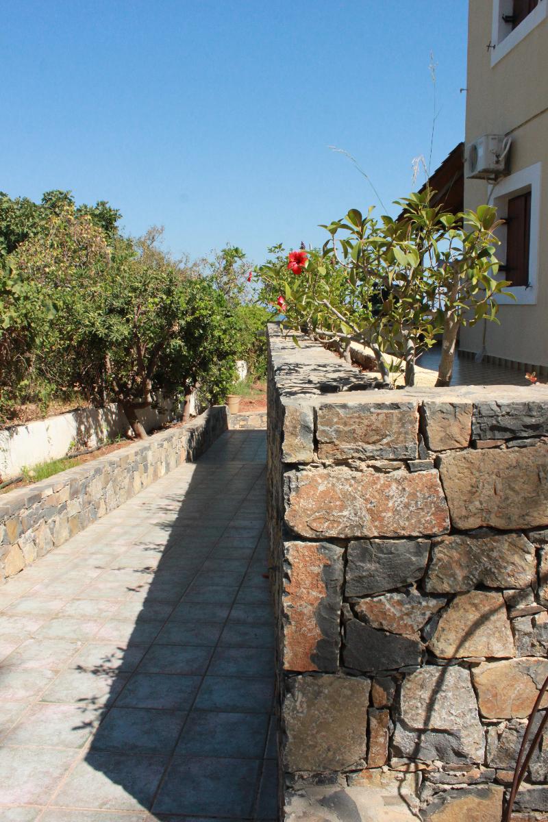 Villa Medusa - Genel