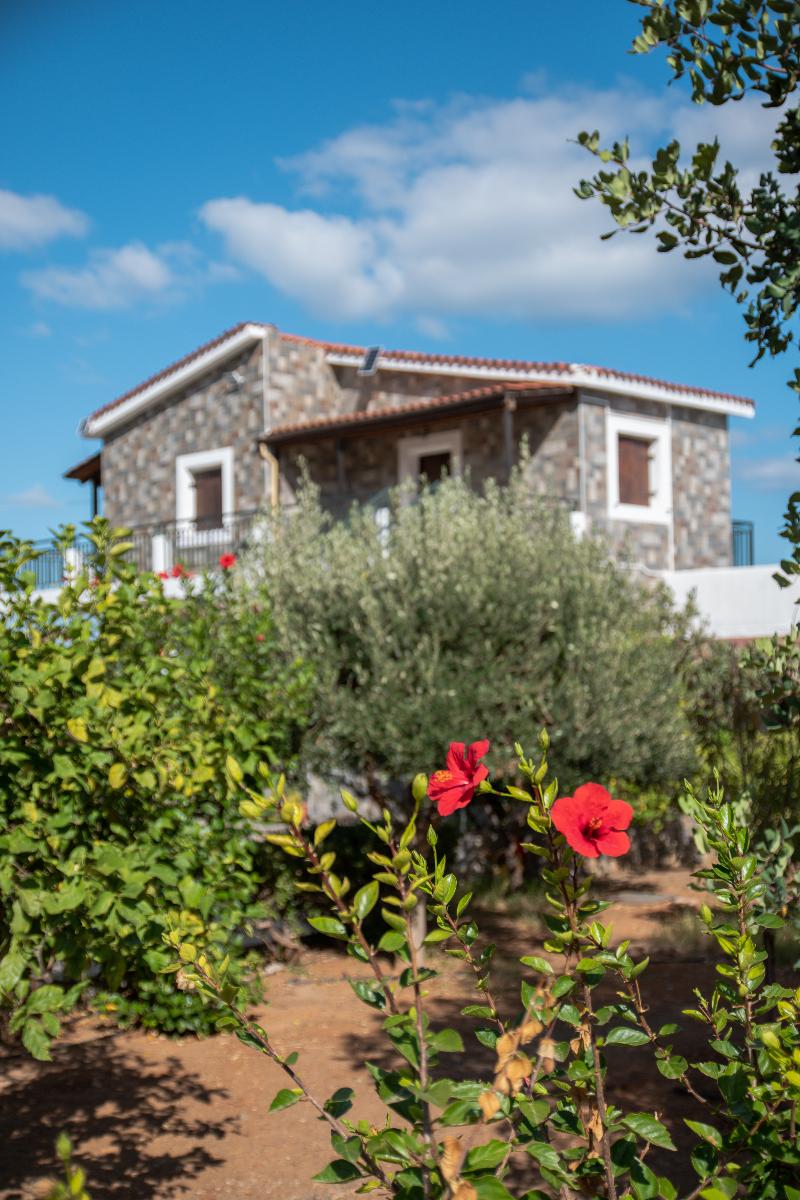 Villa Medusa - Teras
