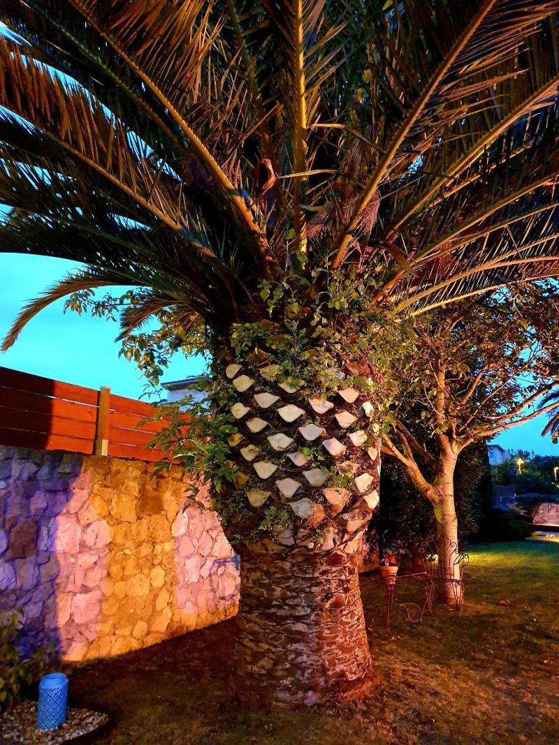 Hotel Alcamino - Teras