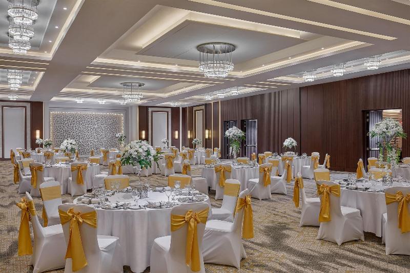 Sheraton Cairo Hotel Towers And Casino - Toplantı