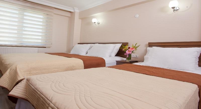 Birlik Hotel - Oda