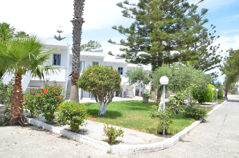 Blue nest kos - Genel