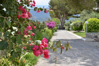 Blue nest kos otel fotoğrafı