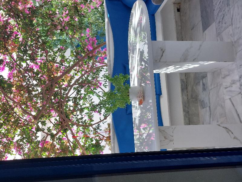 Delfini Hotel - Lobi