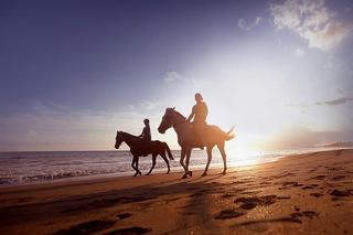 Sedasa Surf and Lifestyle fotoÄŸrafÄ±