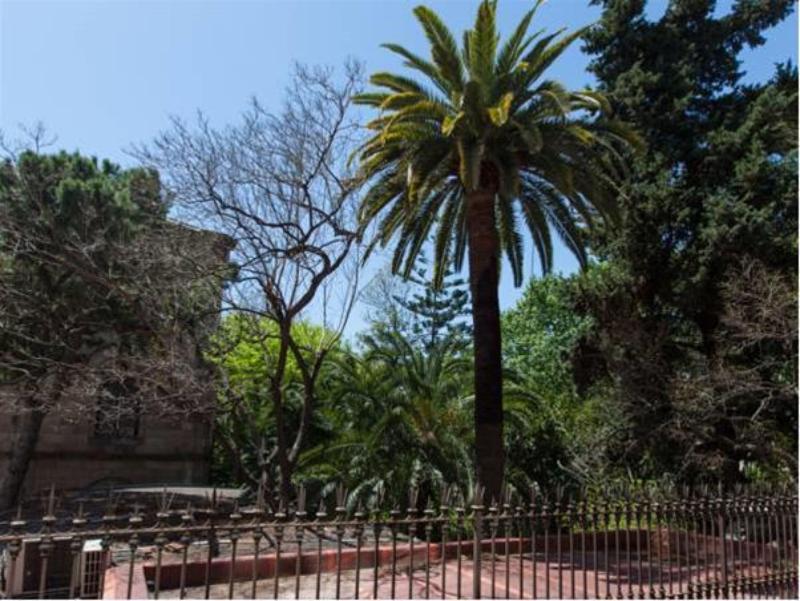 Hostal Ecozentric - Genel