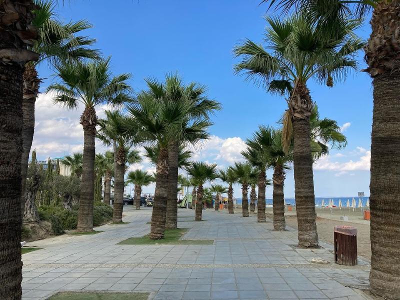The Ciao Stelio Deluxe Hotel - Plaj