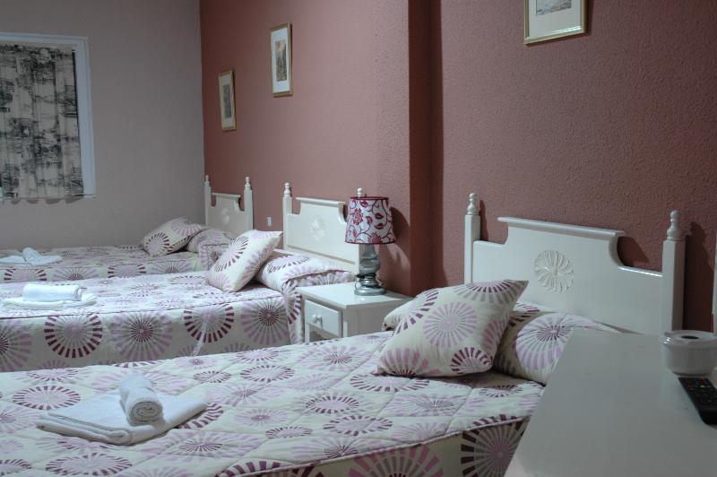 Hotel Plaza Manjón - Oda