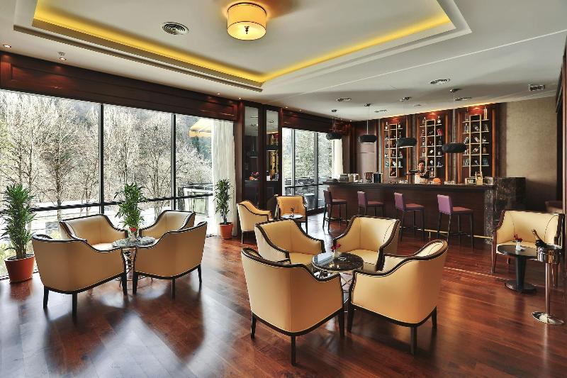 Borjomi Likani Health & Spa Centre - Bar