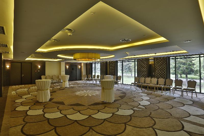 Borjomi Likani Health & Spa Centre - Toplantı