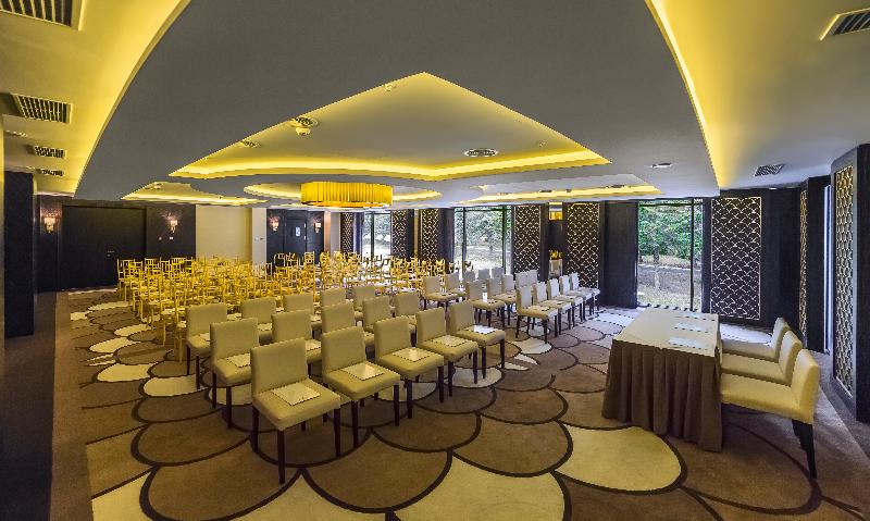Borjomi Likani Health & Spa Centre - Toplantı