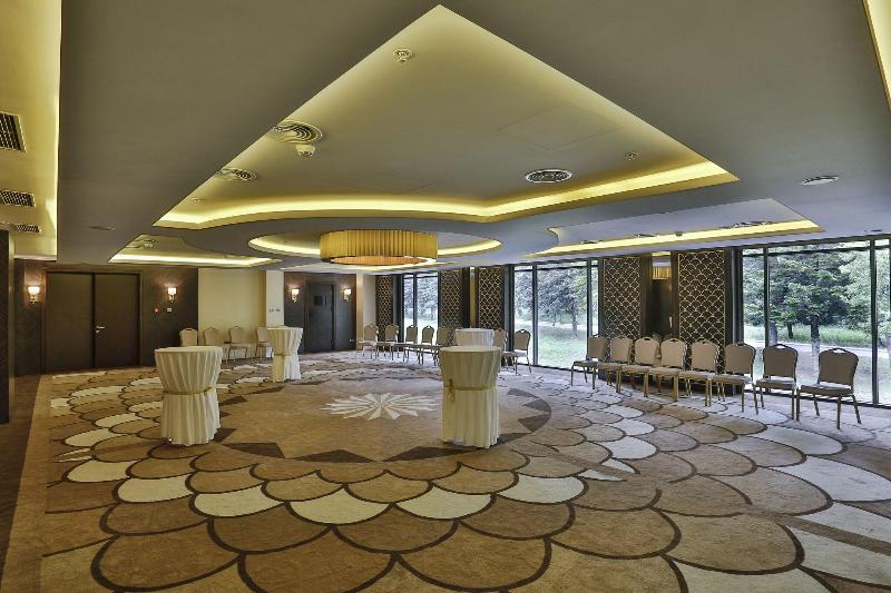 Borjomi Likani Health & Spa Centre - Toplantı