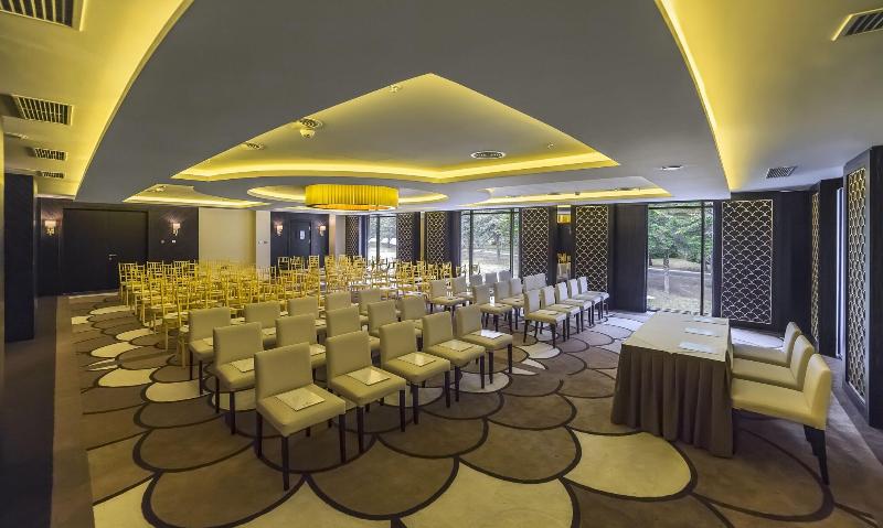 Borjomi Likani Health & Spa Centre - Toplantı