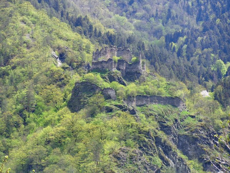 Borjomi Likani Health & Spa Centre - Aktivite