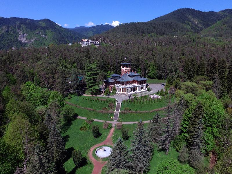 Borjomi Likani Health & Spa Centre - Teras