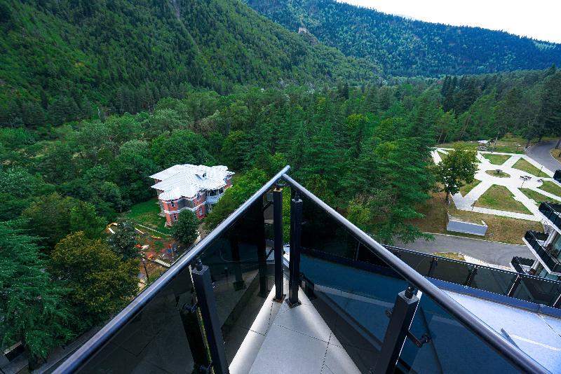 Borjomi Likani Health & Spa Centre - Teras