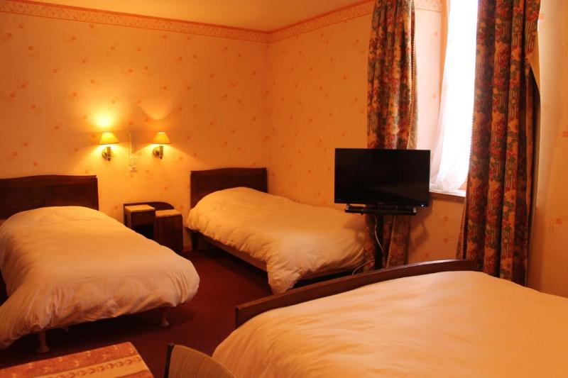 Logis Hotel Le Commerce - Oda