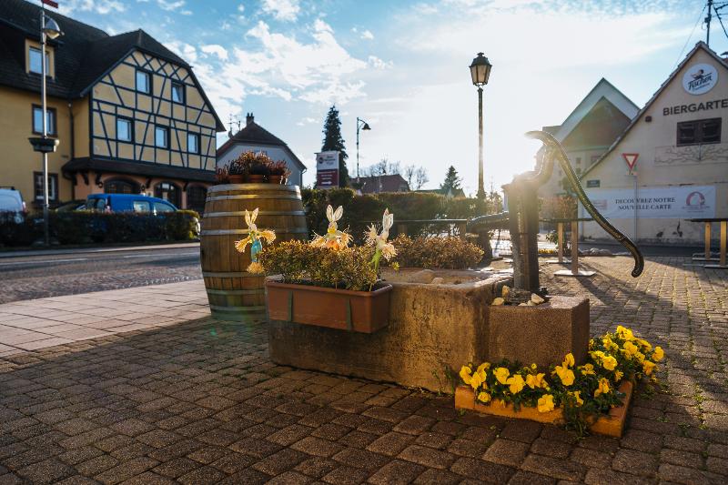Best Western Au Cheval Blanc Mulhouse Nord - Genel
