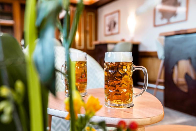 Best Western Au Cheval Blanc Mulhouse Nord - Genel
