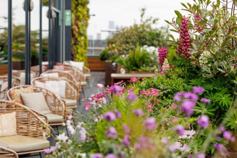 Treehouse Hotel London - Genel