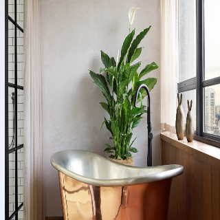 Treehouse Hotel London fotoÄŸrafÄ±