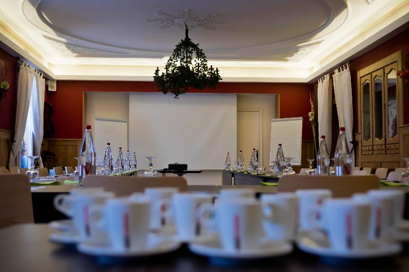 Hotel Spa Le Lion D'Or - Toplantı
