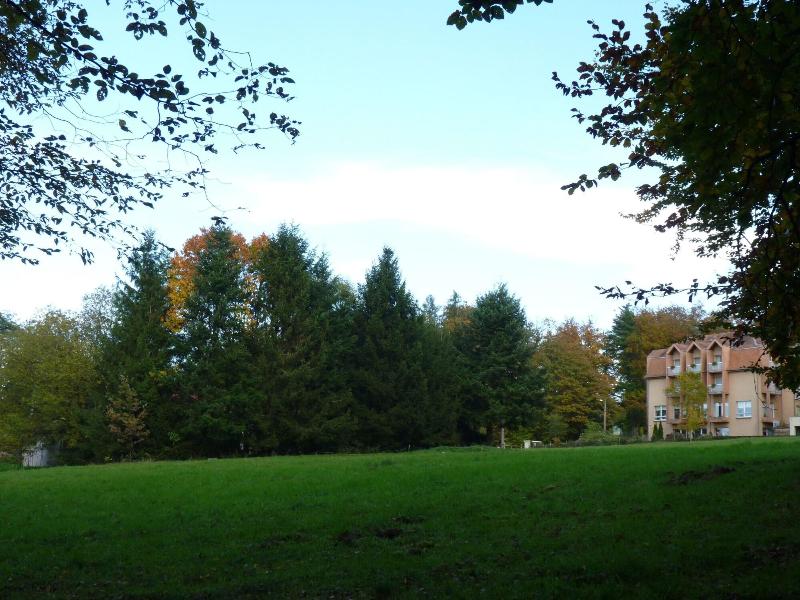 Logis Hôtel Notre-Dame de Bonne Fontaine - Genel